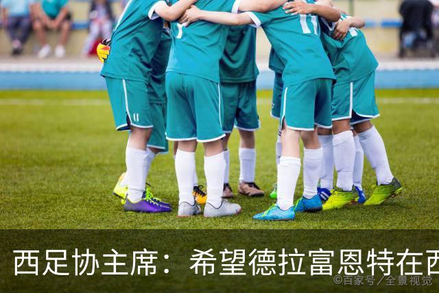 西足协主席：希望德拉富恩特在西班牙长期执教，当我们的弗格森